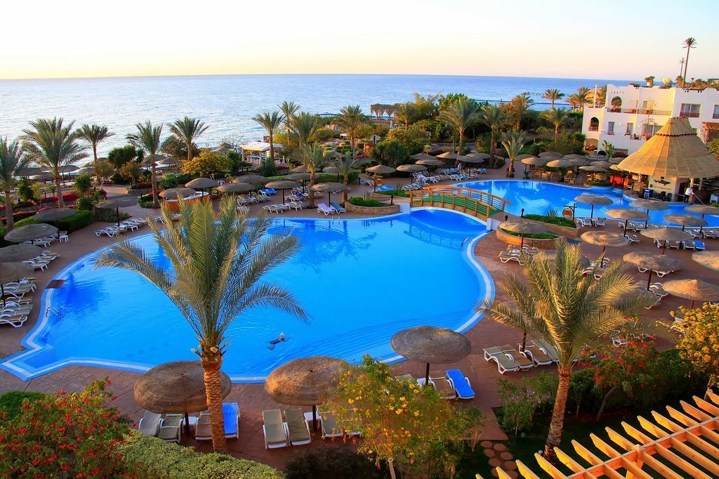 Любимый Египет! Old Vic Sharm Resort 4* и Grand Sharm Plaza 5* на выбор)<br>