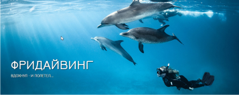 freediving
