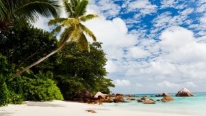 Дайвинг на Сейшельских островах на ноябрьские праздники!&nbsp;