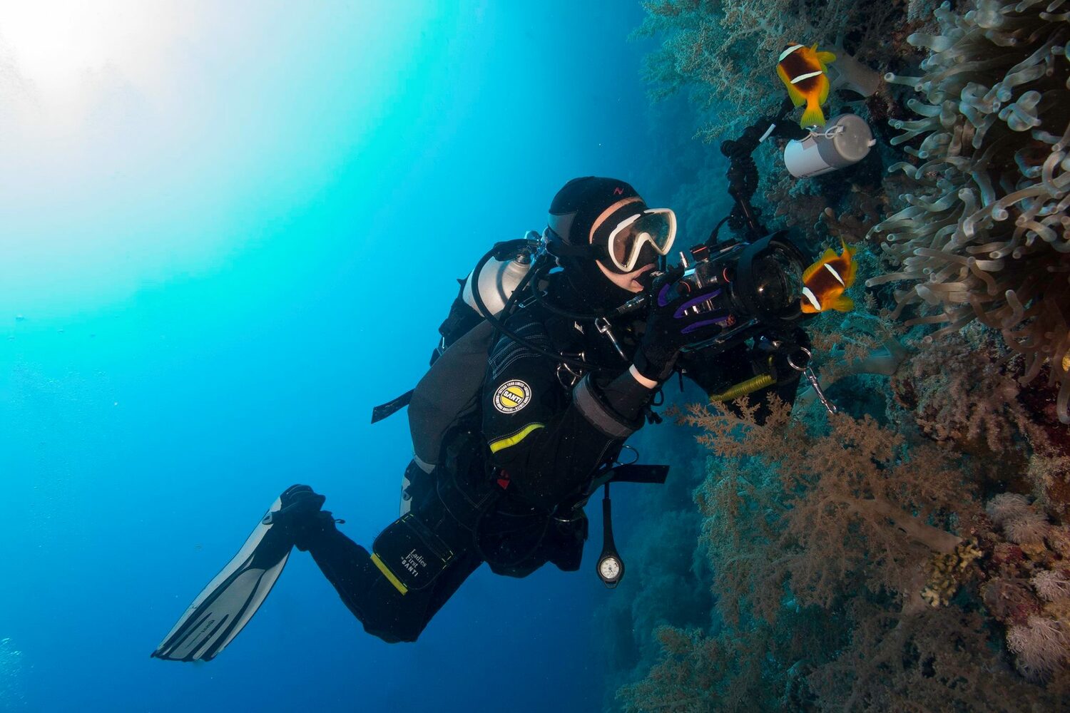 Дайвер это. Адвансед опен Ватер дайвер. Аквалангисты машина. Курс open Water Diver. Картинки для рабочего стола win10 аквалангист.